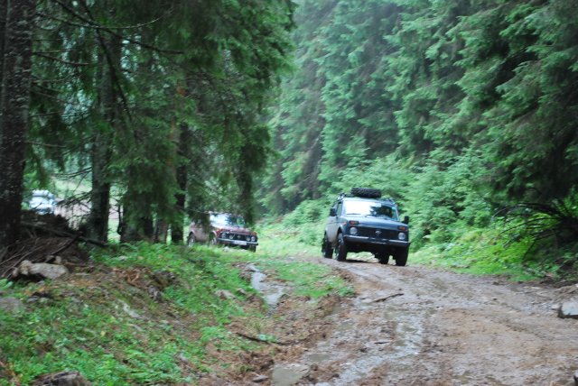 II International Karpat Niva Tour 2012 2aeeb107ae48