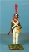 VID soldiers - Napoleonic polish army sets 1e032e5bcc63t