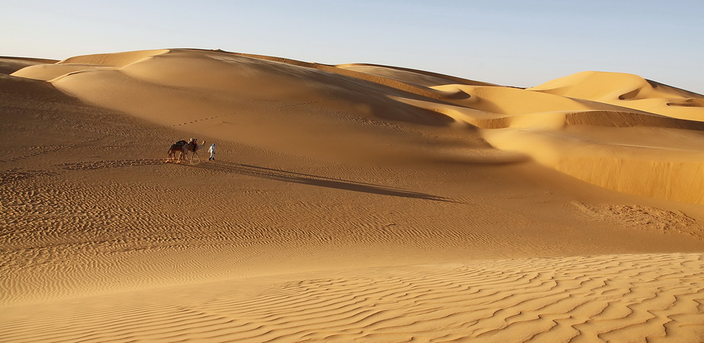 صحراء الجزائر جمال من الخيال Fbc7f514f9c8