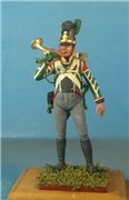 VID soldiers - Napoleonic Bayern army 28e6777caaf2t