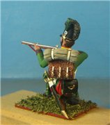 VID soldiers - Napoleonic Bayern army 590e206b6a7bt