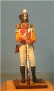 VID soldiers - Napoleonic swiss troops A66e024684edt