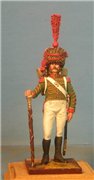 VID soldiers - Napoleonic swiss troops Dac7dea96611t