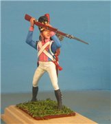 VID soldiers - Napoleonic Bayern army 335a99144e05t
