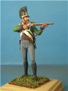 VID soldiers - Napoleonic Bayern army A7a30a83072at