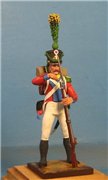 VID soldiers - Napoleonic swiss troops 0828182c1393t