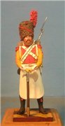 VID soldiers - Napoleonic swiss troops 67543d643c47t