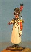 VID soldiers - Napoleonic swiss troops Dbc0335212c2t