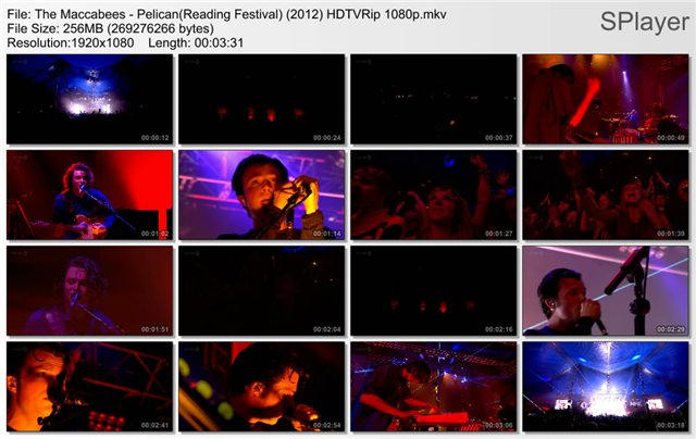 The Maccabees - Pelican(Reading Festival) (2012) HDTVRip 1080p B94960d594f8