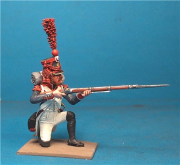 VID soldiers - Napoleonic french army sets - Page 6 De679d480211t