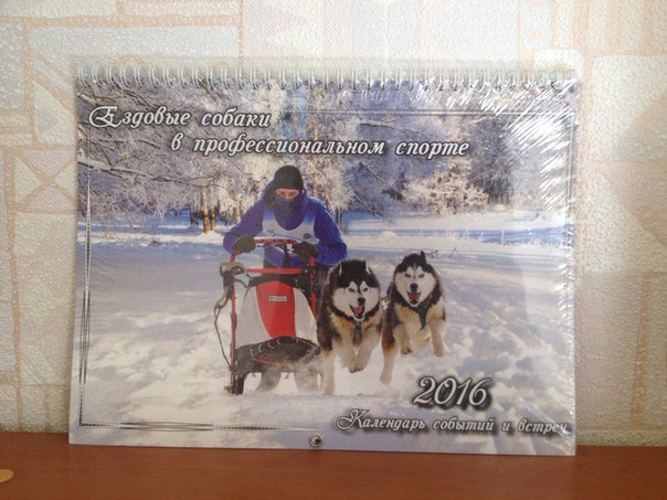 Wall Russian calendar about sled dogs E70600d0cd9a