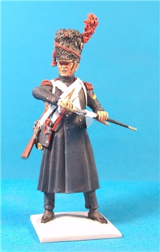 VID soldiers - Napoleonic french army sets - Page 4 F649c701dcfdt