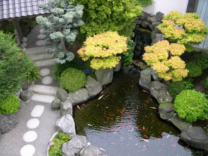 أروع الحدائق اليابانية / حصري 011afd2cb9b0