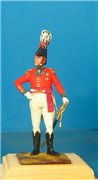 VID soldiers - Napoleonic british army sets A710e6ce77a7t
