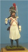VID soldiers - Napoleonic french army sets 04b78244265dt