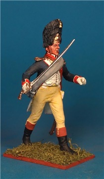 VID soldiers - Napoleonic french army sets - Page 4 F8d22d610401t