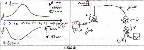 - الإختبار الأول في العلوم الطبيعية ثانية ثانوي - 98aefa4082d9