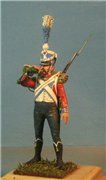 VID soldiers - Napoleonic french army sets - Page 2 41bb7428f1d2t
