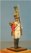 VID soldiers - Napoleonic swiss troops 58be20c14f1bt