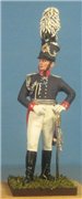 VID soldiers - Napoleonic prussian army sets E2e73a604cc0t