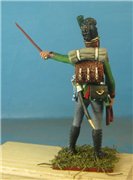 VID soldiers - Napoleonic Bayern army E59b91eb493ct