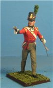 VID soldiers - Napoleonic british army sets 51c8fee1098et