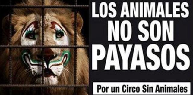 Antecedentes Ley-animales-circo_635