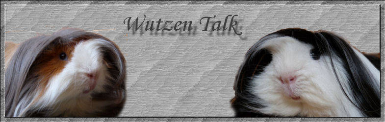 Wutzen Talk