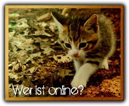 Wer ist online?