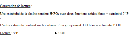 BIOLOGIE MOLECULAIRE (cours) Biolmol16