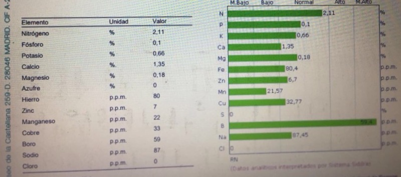 Interpretación análisis foliar 2017 patrolero (Jaén) 33bfles