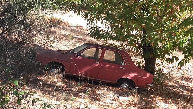 COCHES INTERESANTES,PARADOS Y ABANDONADOS EN HUELVA,BADAJOZ Y PROVINCIA - Página 3 20171022_115621