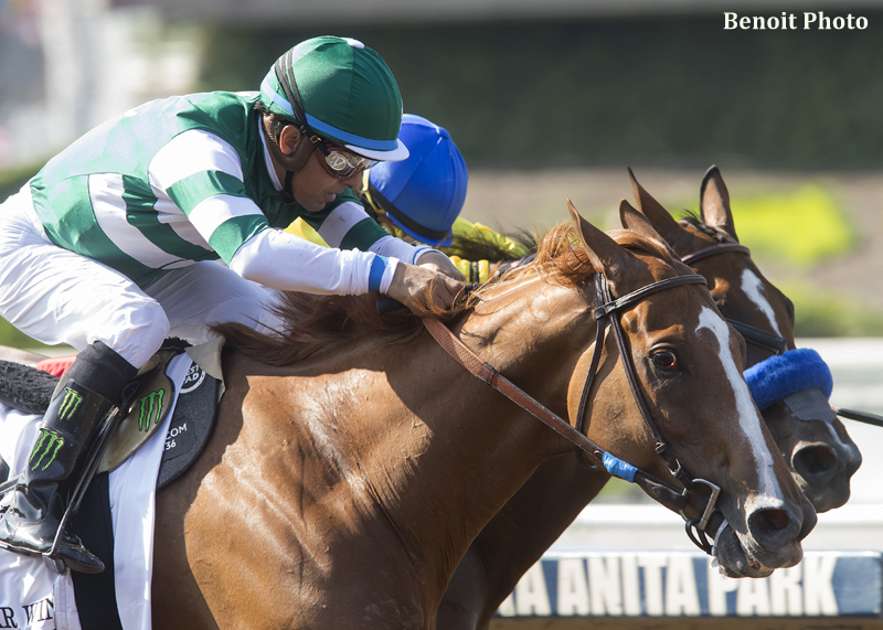 Breeders’ Cup 2017: Noticias Y Notas, Miércoles 1 De Noviembre Stellar_Wind-_ESP