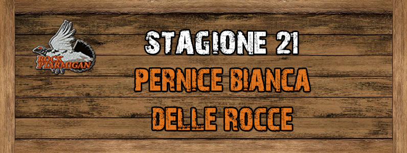 Pernice bianca delle rocce - ST. 21 Pernice_bianca_delle_rocce