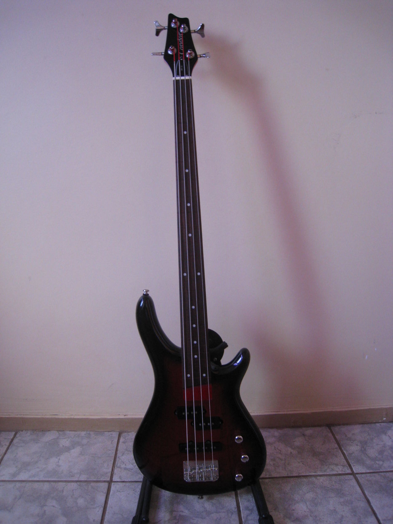 Condor BX 12 Fretless IMG_1439