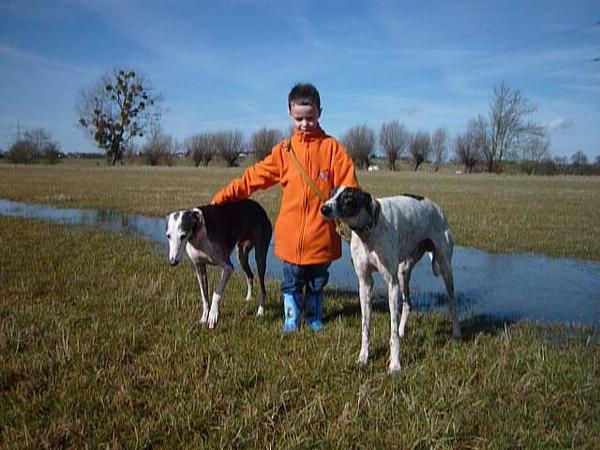 Galgo MATTEO aus Andalusien sucht ... -Galgo Lovers- - Seite 9 3868037