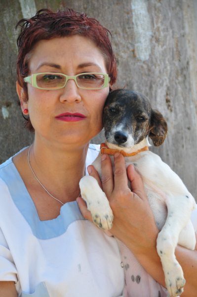 Ratonera-Mix Estee (jetzt KIKA) aus San Anton ... Galgo-Lovers.org 4220341