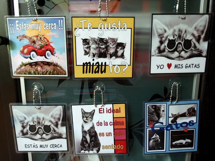 carteles para el coche y cuadernos de Esperanza Felina 4617659