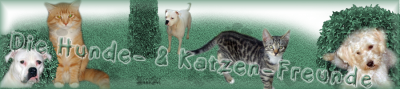 Besuch von den Hunde und Katzenfreunden 5539101