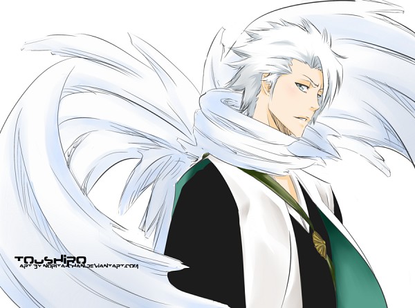 Per molts d'anys, Layla!! Hitsugaya.Toushirou.600.904822