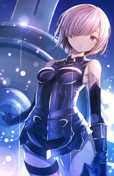 WAU-III "Bulwark" Shielder.%28Fate.Grand.Order%29.600.2027248