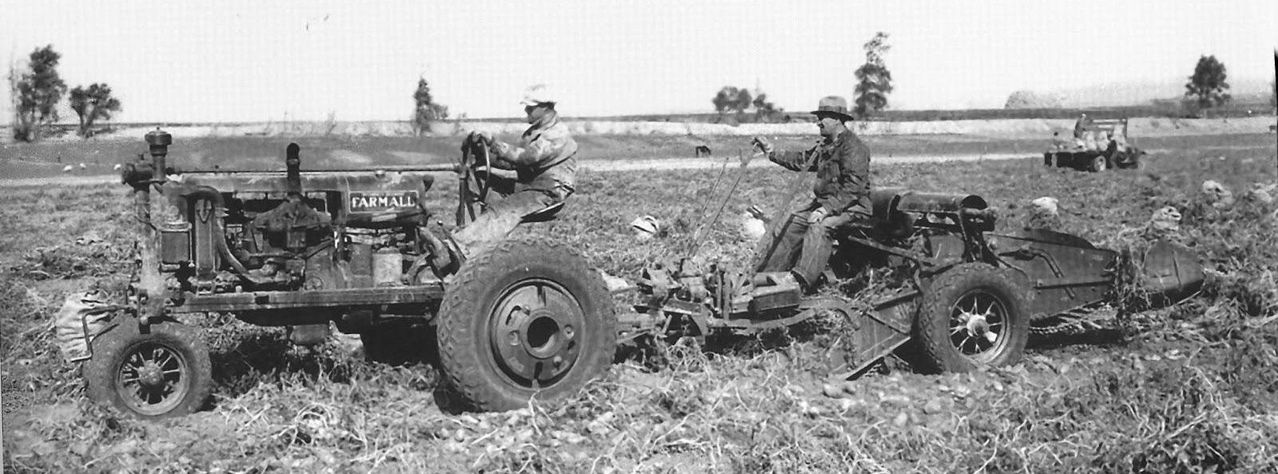 Tractores en fotos de época.  - Página 7 Farmall_F20_patatas_USA