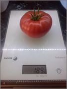 Vícebarevná rajčata 290820151311