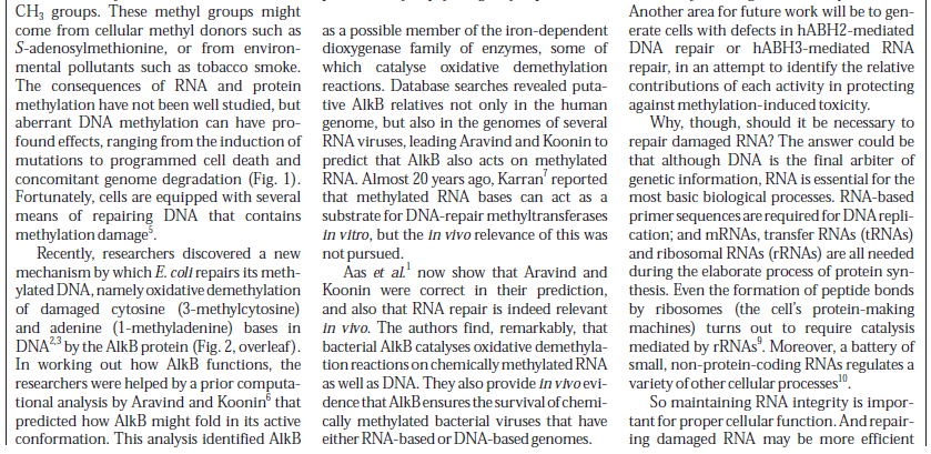 dna repair - Error checking and  repair systems in the cell, amazing evidence of design RNA_fix1