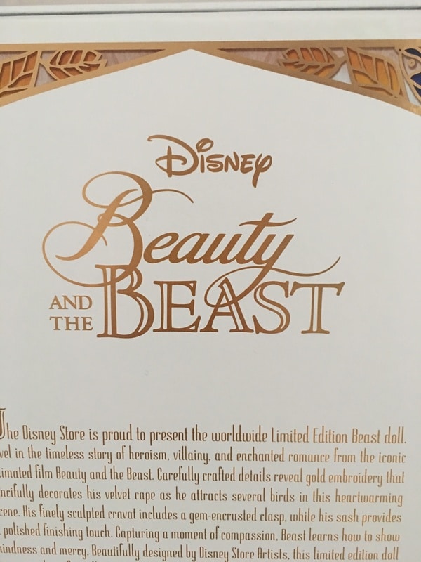 Disney Store Poupées Limited Edition 17'' (depuis 2009) - Page 35 IMG_0751