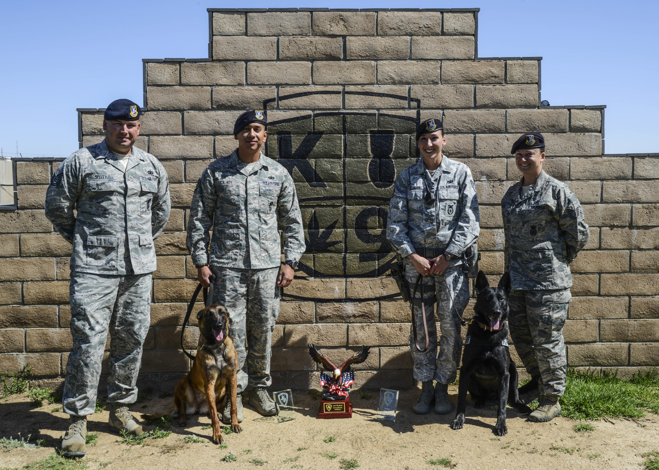 Animaux militaire 140602_F_IW159_002