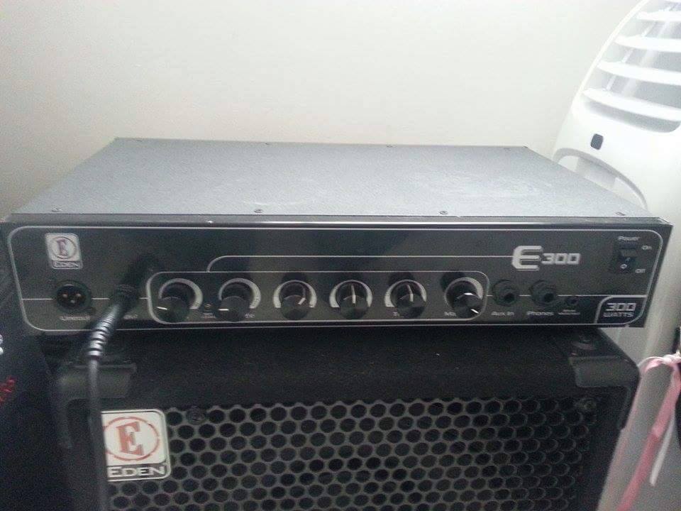 Vendo Amplificador David Eden E300 11748553_585537111584027_300084960_n