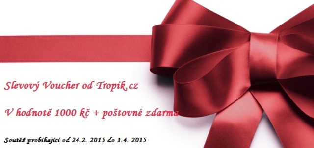 Velká soutěž 2015 o Voucher! Gift_vouchers