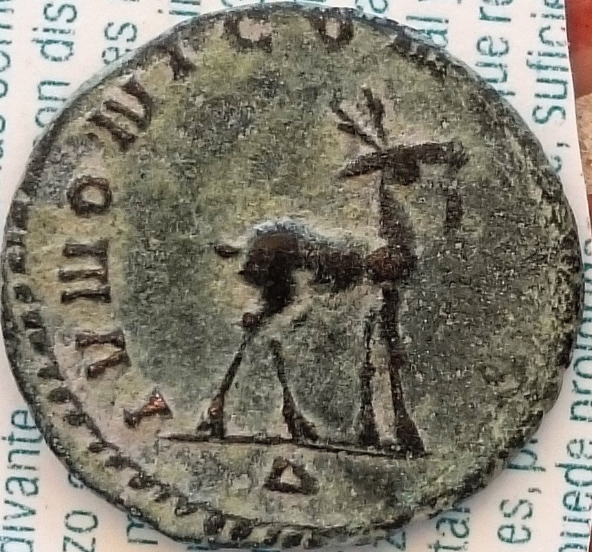 Antoniniano de Salonina. IVNONI CONS AVG. Alce caminando a dcha. Ceca Roma. DSC_0006