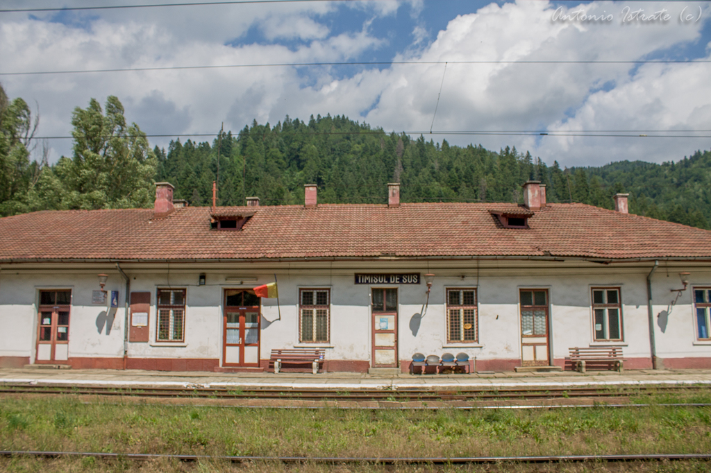 Timișu de Sus (300) IMG_5151